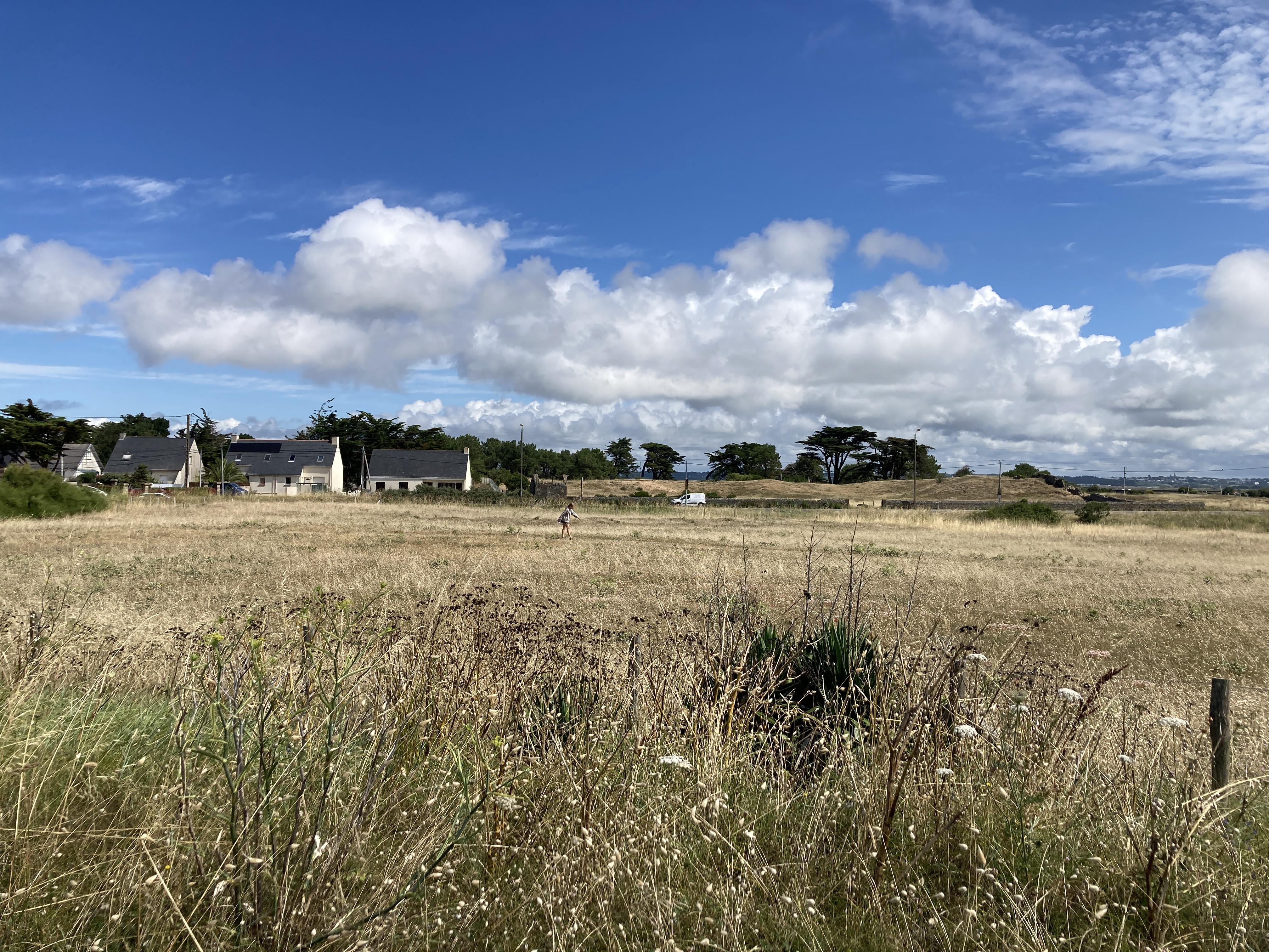 La semaine avant les vacance
